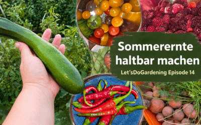 Sommerernte haltbar machen